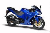 2013 Bennche Rival 250 r photo
